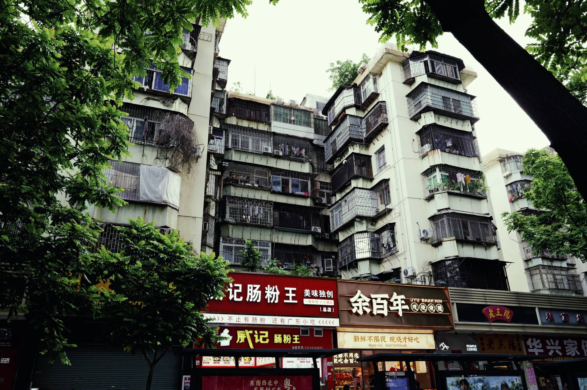 L1002261.jpeg