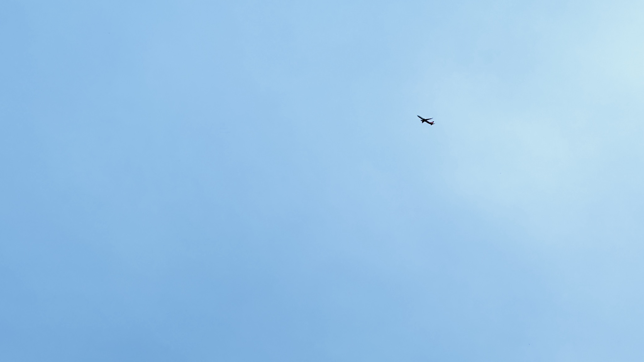 IMG_3904.jpeg